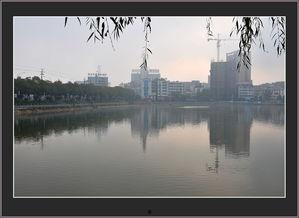 琼湖网红,揭秘网络红人的魅力与影响力